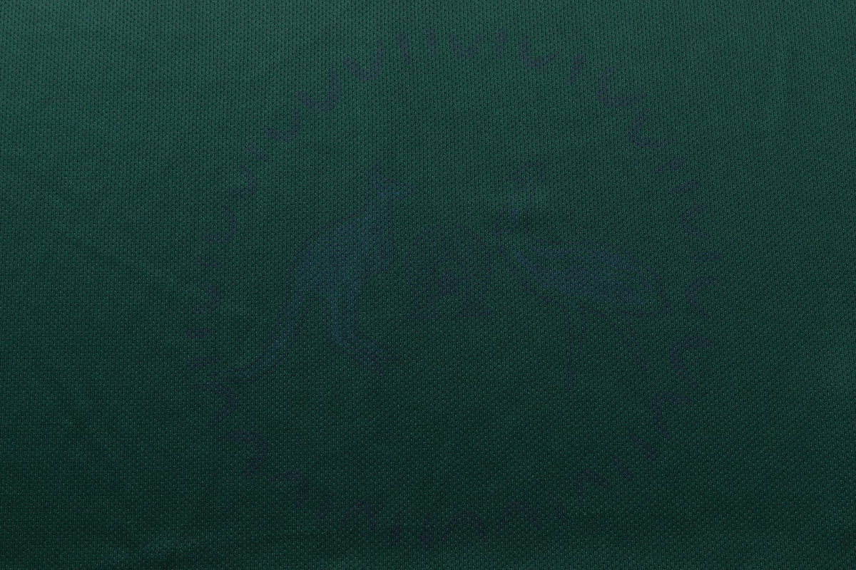 https://i.ebayimg.com/00/s/MTA2NlgxNjAw/z/MfcAAeSwMaJqq3b7/$_57.JPG?set_id=880000500F