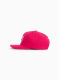 BBL Logo Pinch Panel Cap - Sydney Sixers - Adult - OSFM