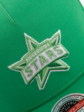 BBL Logo Pinch Panel Cap - Melbourne Stars - Adult - OSFM